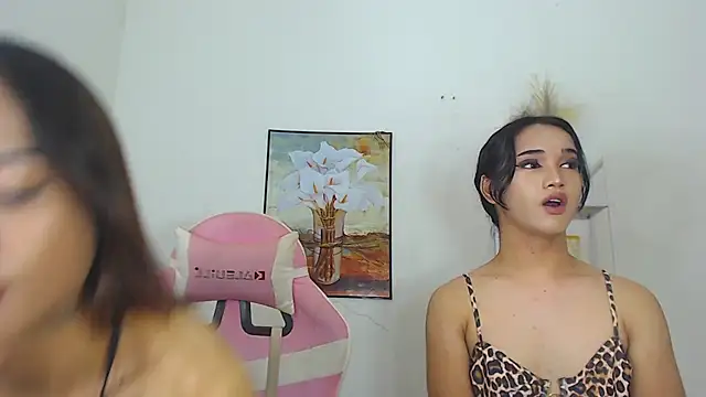 MaterialDuoTransxxx online show from 03-26-26, 10:02