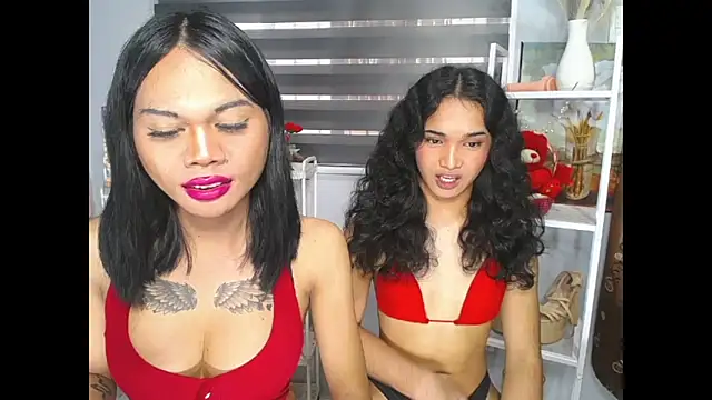 MaterialDuoTransxxx online show from 06-05-26, 06:52
