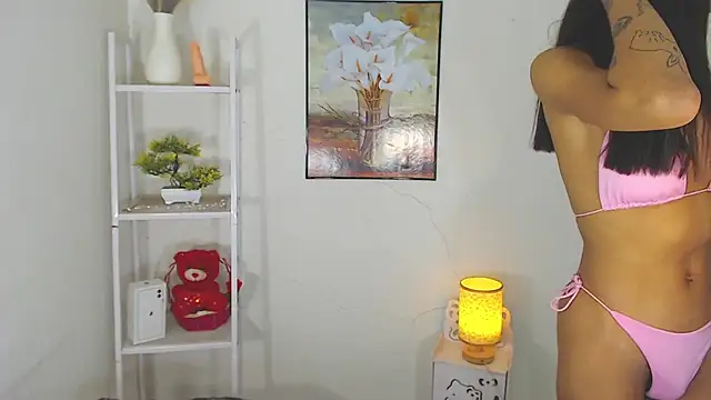 MaterialDuoTransxxx online show from 03-10-26, 06:50