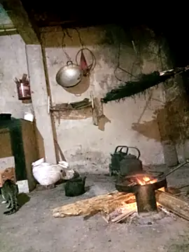 Bling-pusy online show from 04-02-26, 09:54