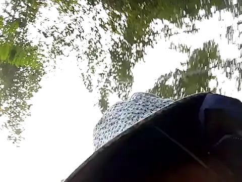 Yellow-pink online show from 03-13-26, 02:16