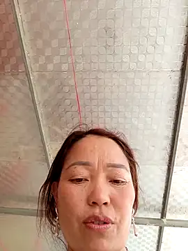 Yellow-pink online show from 04-11-26, 07:45