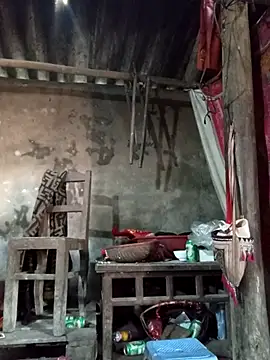 Yellow-pink online show from 03-24-26, 04:34