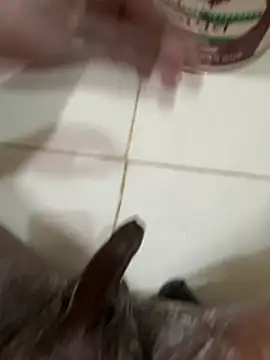 Chotiluli4 online show from 03-09-26, 07:01