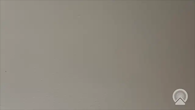 Shynesse21 online show from 03-26-26, 11:41