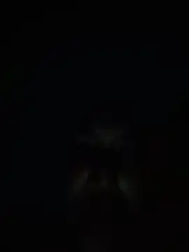 Snapshot of ivannia_Lawrence chatting on 05-29-26, 04:40 ivannia Lawrence online show from 05-29-26, 04:40