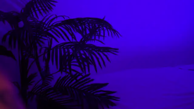 SweeetMila online show from 04-13-26, 04:11