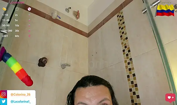 Snapshot of Lacolorinaa chatting on 06-11-26, 02:53 Lacolorinaa online show from 06-11-26, 02:53
