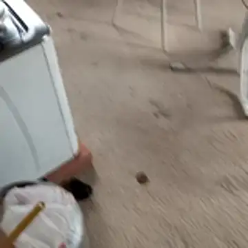 hotwife   br online show from 04-06-26, 03:46