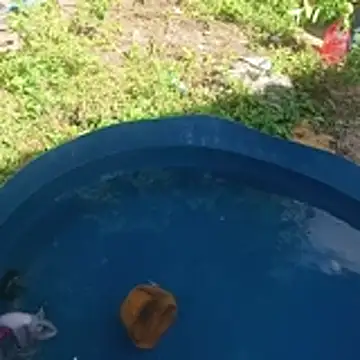 hotwife   br online show from 04-16-26, 11:33