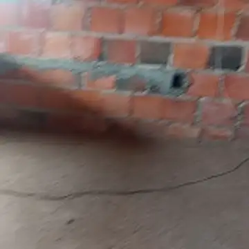 hotwife   br online show from 03-31-26, 03:14