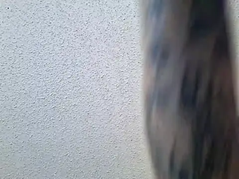 Snapshot of Envyussfantasy chatting on 05-25-26, 06:06 Envyussfantasy online show from 05-25-26, 06:06