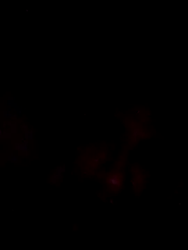 onliveme69 online show from 04-08-26, 07:54