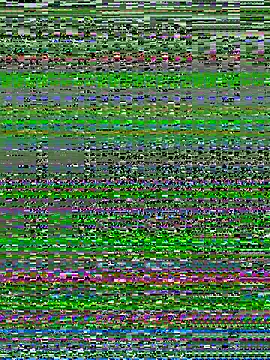 alextn22 online show from 07-06-26, 02:46