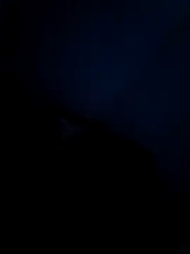 Snapshot of Vaishnavii chatting on 03-21-26, 08:19 Vaishnavii online show from 03-21-26, 08:19