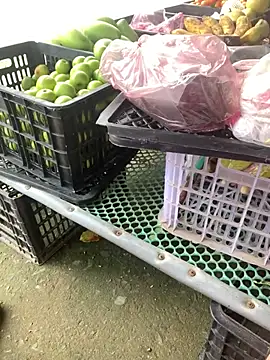 tieuvy6 online show from 03-24-26, 07:41