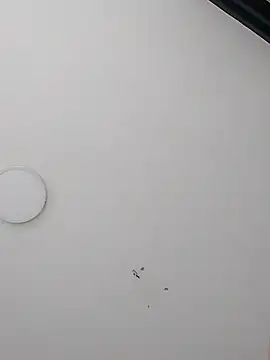 Dereckrose23 online show from 03-18-26, 05:14