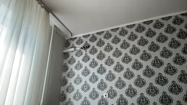 tomasdickpick online show from 05-11-26, 07:10
