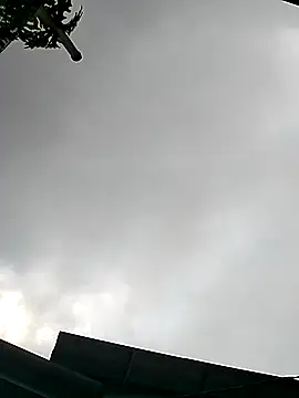 Snapshot of Cute-flowers chatting on 03-21-26, 02:35 Cute-flowers online show from 03-21-26, 02:35