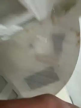 sikiciadana0121 online show from 04-01-26, 03:09