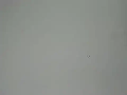 Aliciaa Diamond online show from 03-25-26, 08:30