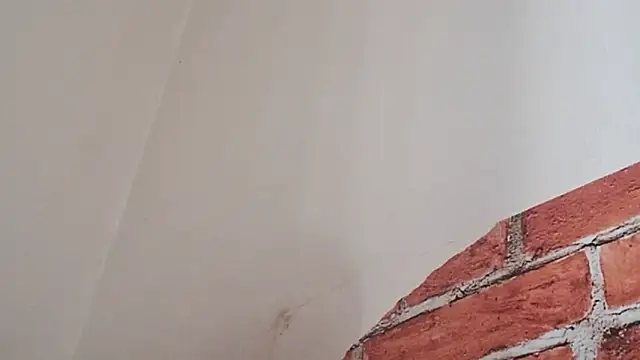 Sueliton2 online show from 03-28-26, 05:36