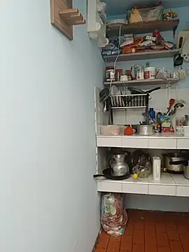 samy1curvy online show from 03-24-26, 05:35