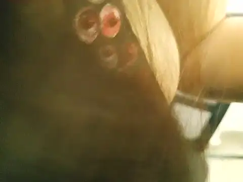hey Daisy online show from 05-23-26, 02:32
