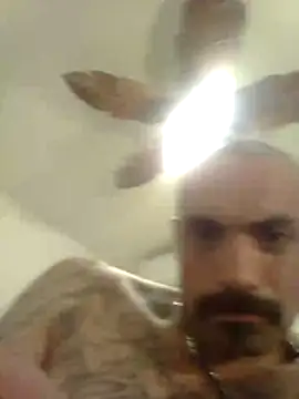 Snapshot of wesstfine chatting on 05-18-26, 05:13 wesstfine online show from 05-18-26, 05:13