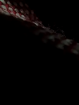 Lucho128030 online show from 03-24-26, 03:23