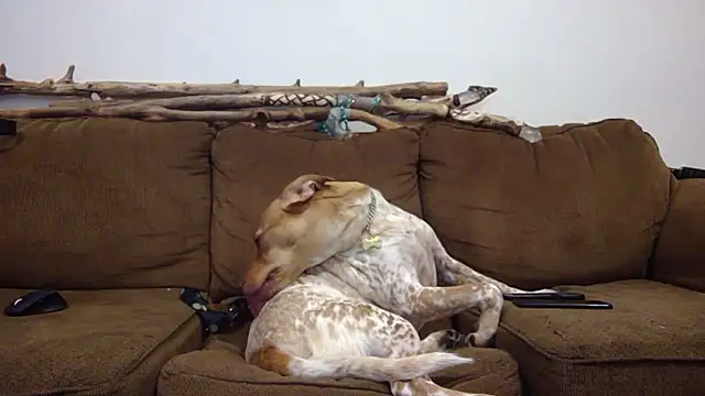 DavidEugeneOr online show from 04-22-26, 08:21