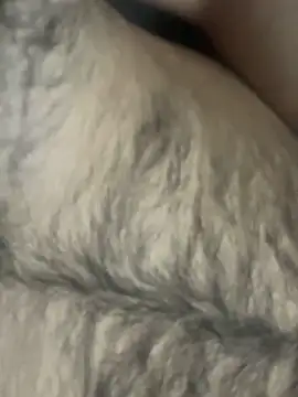 TurkishBoyzs online show from 04-11-26, 07:28