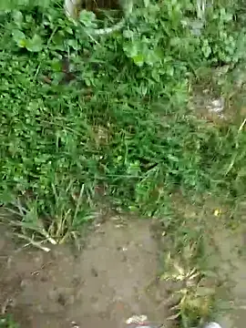 luck00y online show from 06-23-26, 01:03