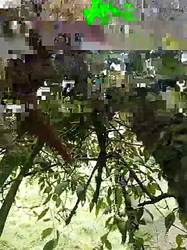 Snapshot of xjkedv chatting on 06-06-26, 06:46 xjkedv online show from 06-06-26, 06:46