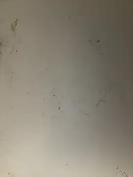 ANNIE 10- online show from 04-11-26, 05:27