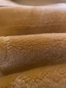 Ashwak trans online show from 04-04-26, 12:01