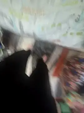 MassiveCongame online show from 03-25-26, 12:37