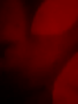 goldboy 0069 online show from 04-11-26, 05:48