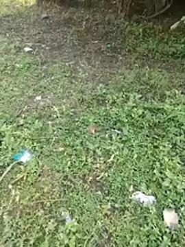 junedkhan99 online show from 04-03-26, 03:02