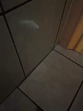 sfadinz online show from 04-25-26, 04:26