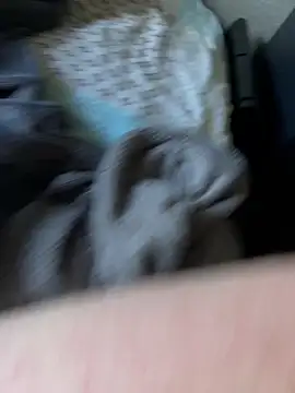 SmaLDicK2100 online show from 04-10-26, 11:50