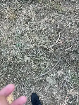 yingzi003 online show from 04-07-26, 07:43