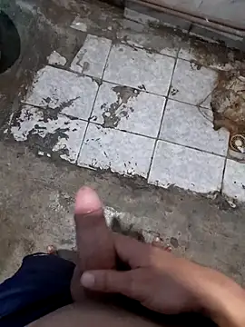 NovinhoTopBrasil online show from 03-31-26, 07:38