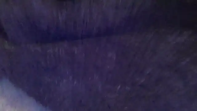 basecamp5 online show from 07-12-26, 02:01