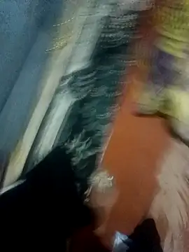 bobo76s online show from 04-01-26, 05:53