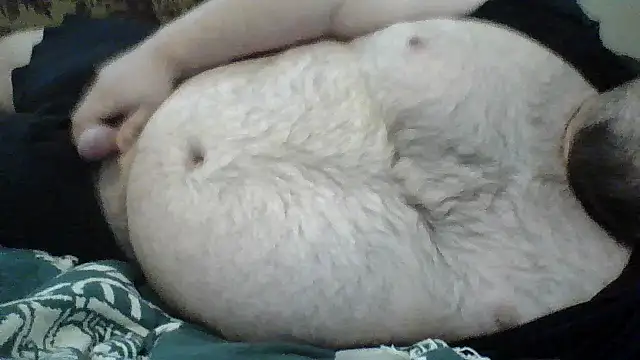 Snapshot of TBFL0204 chatting on 07-09-26, 02:38 TBFL0204 online show from 07-09-26, 02:38