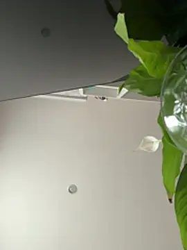 Lindasix online show from 04-18-26, 06:05