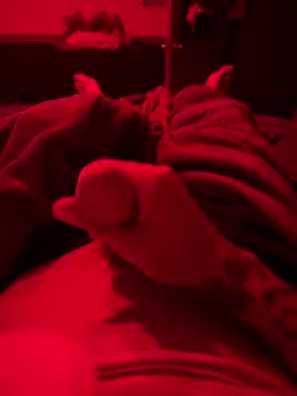 Dstat715 online show from 04-19-26, 06:03