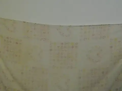 Daniellesafada online show from 04-17-26, 12:02