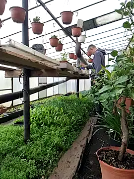 Frosting1957 online show from 04-12-26, 07:33